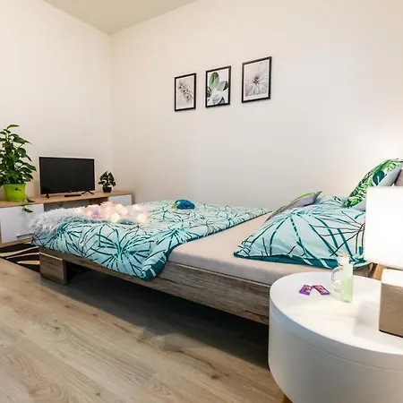 Apartia Krenova, Brno-center Apartment *